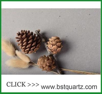 4003 Sleek Concrete Artificial Quartz Stone