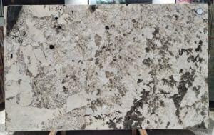 Alpinus / Brazil High Quality White Granite Tiles &amp; Slabs