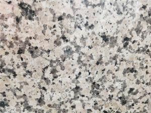 Rosa Pink Porrino Granite for Countertops/Vanity Tops
