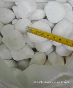 Natural White Pebble Stone for Garden and Landscape