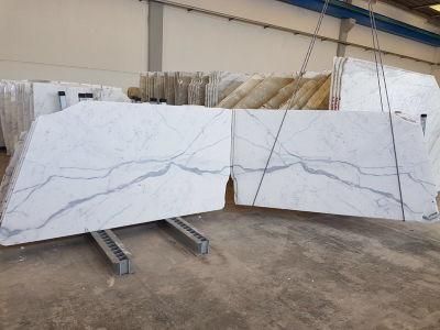 Italian Carrara/Statuarrietto White Marble Calacutta Gold Marble Slab/Countetop/Kitchentop