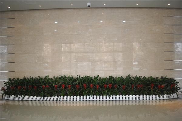 Amasya Beige Marble, Marble Tiles and Marble Slabs
