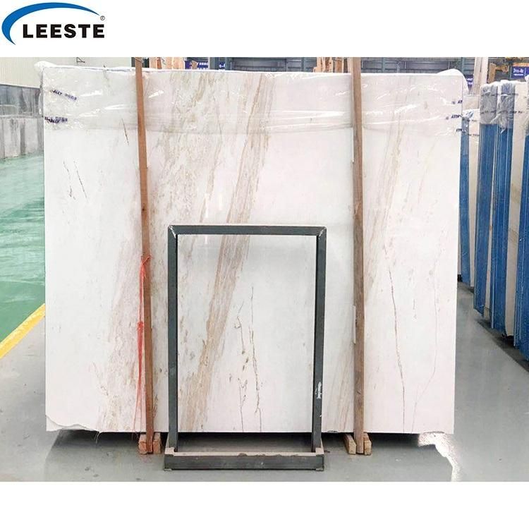 Calacatta Gold Marble Slab Italy White Marble