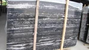 Polished Silver Dragon Chinese Black Portoro Natural Marble for Wall and Floor