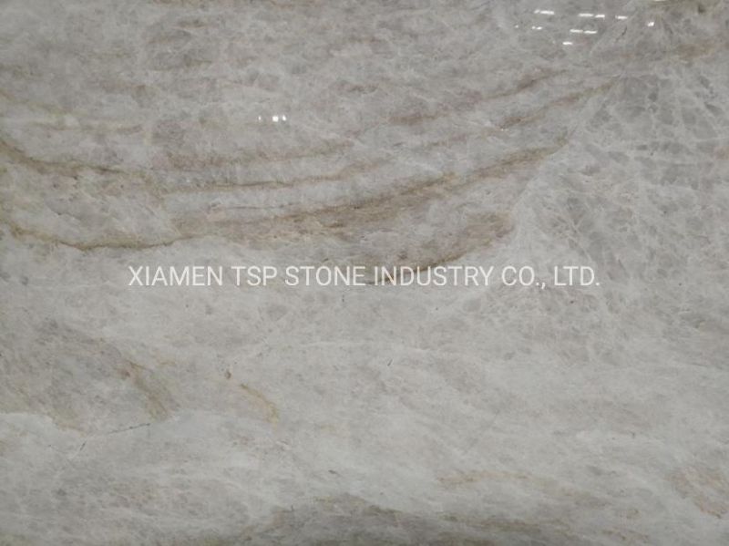 Brazil Taj Mahal Quartzite Madre Perla White Flooring Wall Tile