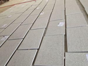 Granite/Solar White Granite/Tile/Countertop/Kitchentop/Paving Stone/Walling Stone/White Granite