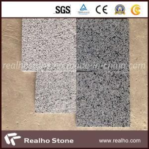 China Hebei Grey Granite for Floor Tile/ Paving Slab/ Stair