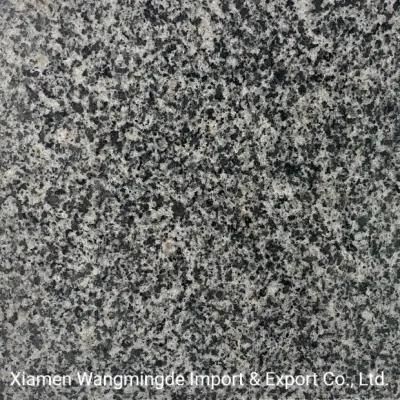 Cheap China Natural Stone Granite for Tiles/ Slabs / Countertop