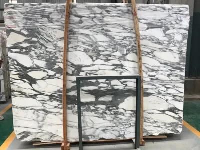 Natural Stone Arabescato Venato White Marble Slabs with Black Veins