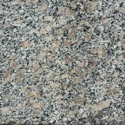 Arizona Yard Decorative Granite Tiles Price Philippines 60X60