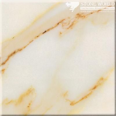 Polished Calacatta Marble Slabs for Flooring &amp; Wall (MT088)