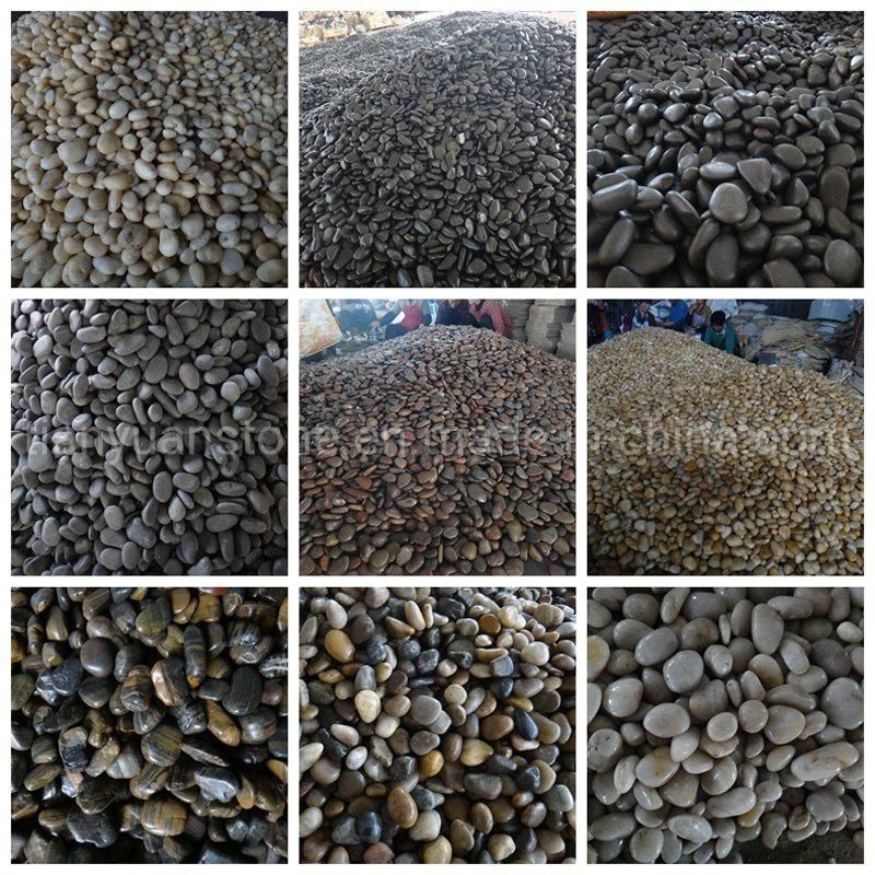 Cheap Price A Grade Black Color Driveway Pebble Stones