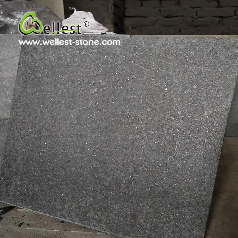 Black Granite Tile Tile for Wall and Flooring Flamed Finish Paving Stone Tile