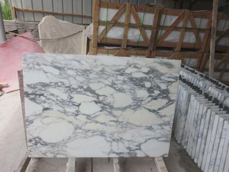 Polished Arabescato White Marbe Tile for Interior Wall Flooring Design