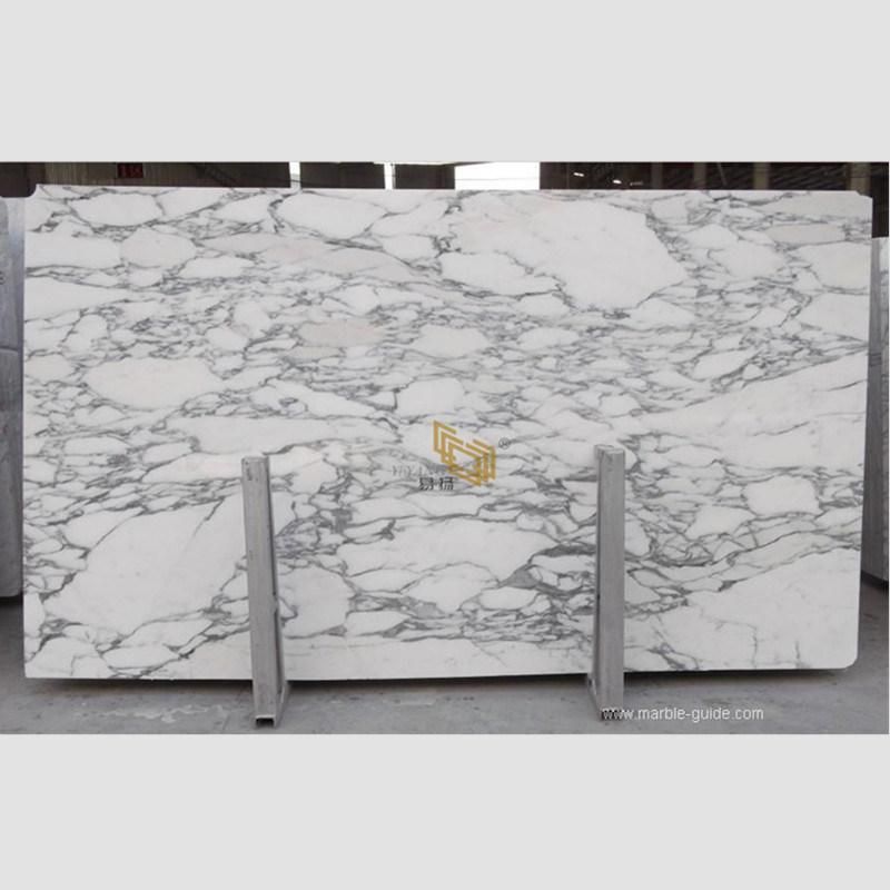 Arabescato White Marble Supplier for Kitchen Island/Bathroom/Vanity/Sink/Flooring/Wall/Countertop