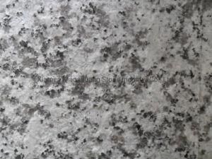 Big Flower White/Beta White/Blanco Taupe Granite Flooring Tiles with Flamed Surface