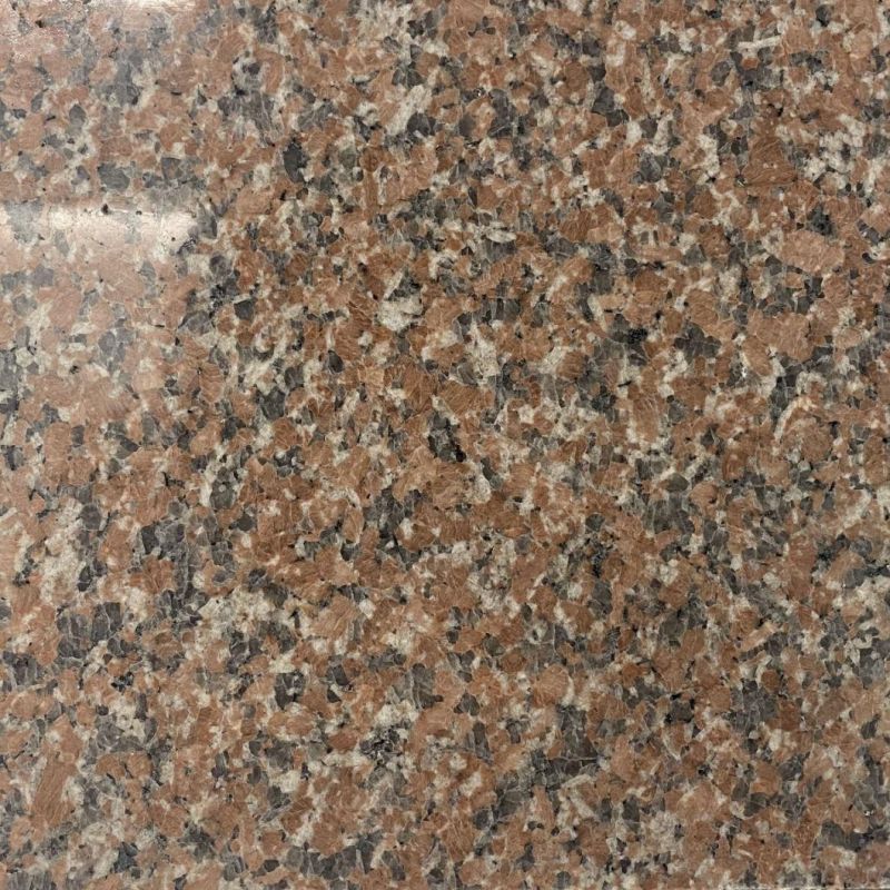 Top Quality Polished Red Granite Tile and Granite Slabs for Floor and Wall Building