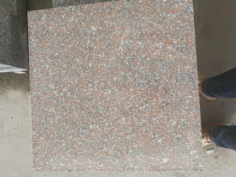 Red Lotus Granite Stone / White Dots / Floor Decoration/Wall Buiding Material
