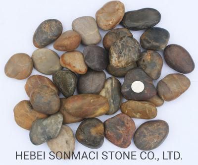 China Wholesale Cheap Price Polished Colorful Driveway Pebble Stones