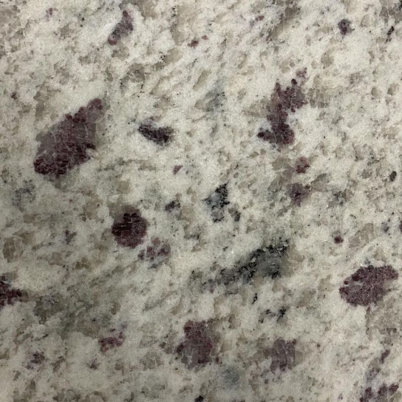 India Platinum Top Polished White Granite Tiles and Granite Slabs for Floors and Walls
