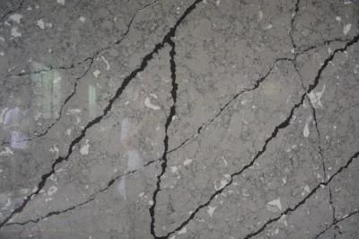 Calacatta Grey Polished Surfaces Engineered Quartz Stone Slab with NSF SGS Certification
