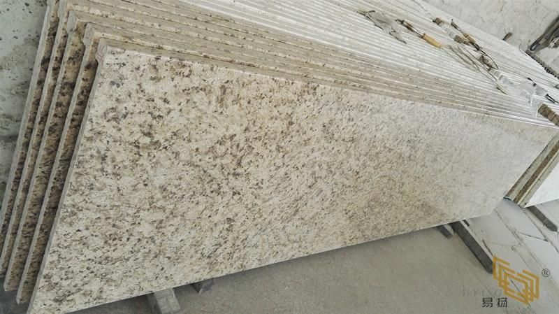 Granite Stone Slab/Table/Kitchen/Bathroom Vanity Granite Surface Countertop/Vanity