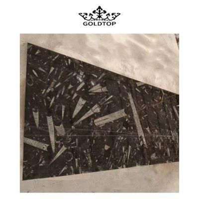 Chinese Commercial Project Black/Beige/White Decorative 600*600 Wall/Floor Tiles Natural Stone Fossil Stone &Ocean Jura Marble for Home