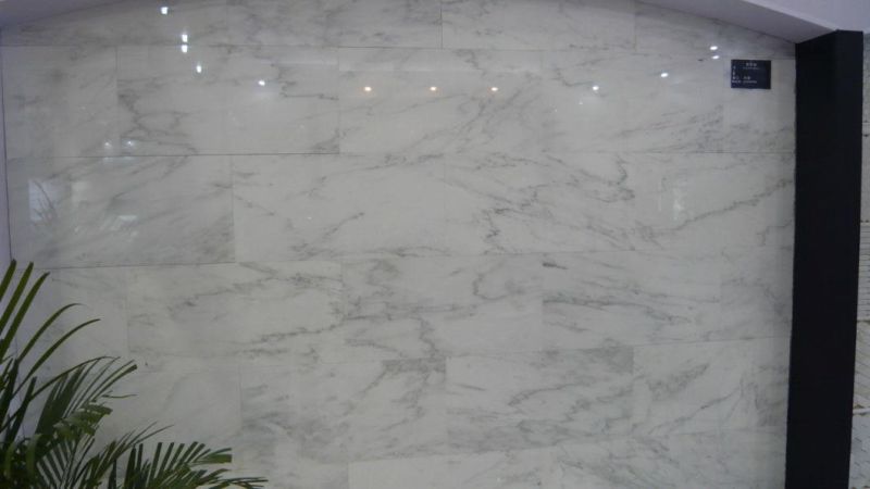 White Marble Slab/Tile Flooring Hotal Countertop Design Building Material Factory Supplier
