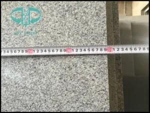 Hunan G603 Grey Granite for Wall/Flooring/Tile/Kitchen Countertop/Stair Steps/Tombstone/Fountain/Vanity Top /Paving Stone
