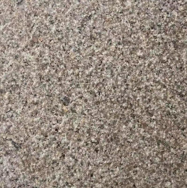 Top Quality Polished Red Granite Tile and Granite Slabs for Floor and Wall