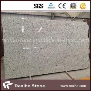 Polished Swan White Granite for Countertop