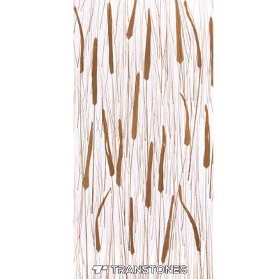 Modern Popular Design Acrylic Sheet for Decoration