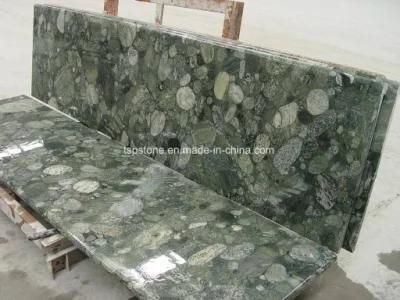 Manufacturer of Green Marinace Granite Countertop