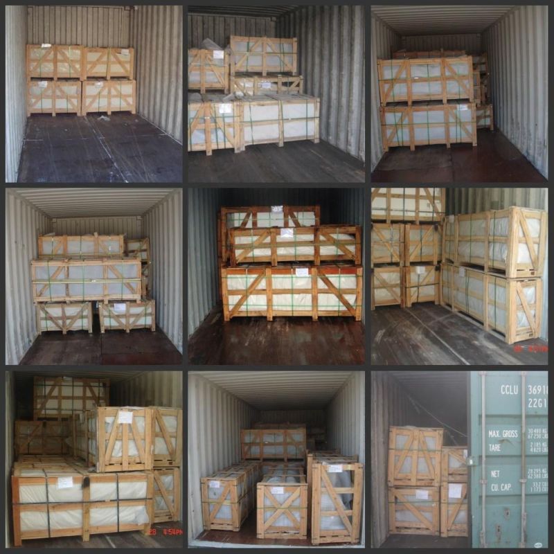 Polished Carrara White Marble Tiles for 1cm Thickness