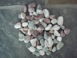 Natural Pebble Stone for Garden &amp; Landscape Decoration