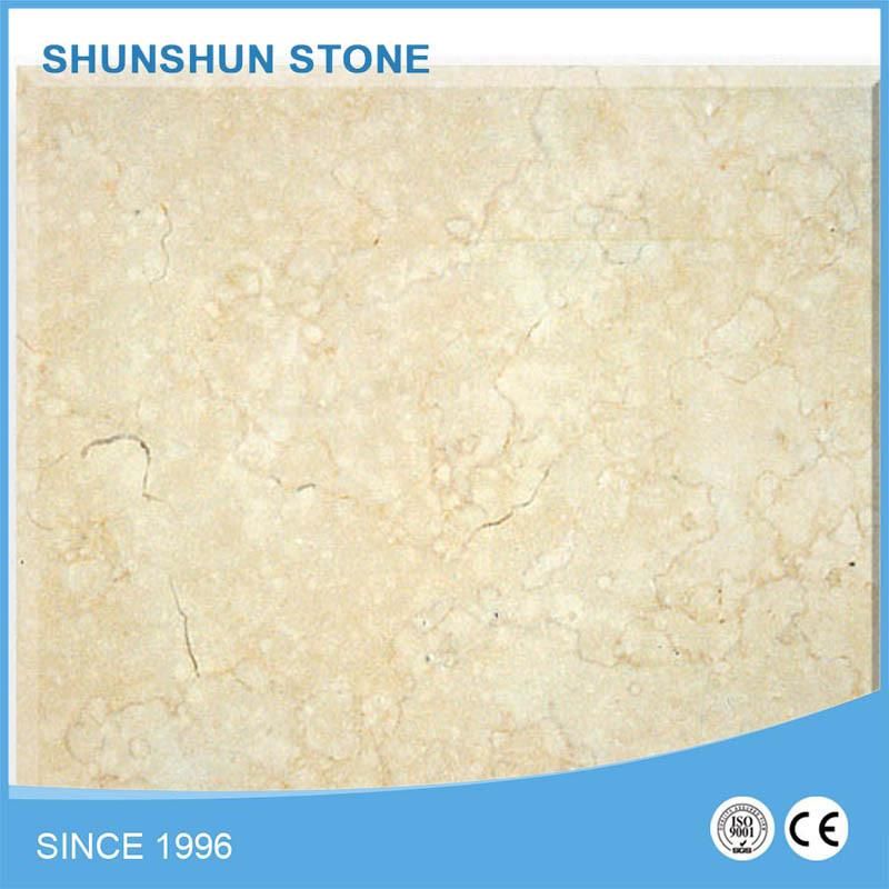 White Arabescato Marble Tiles for Floor, Wall and Countertop