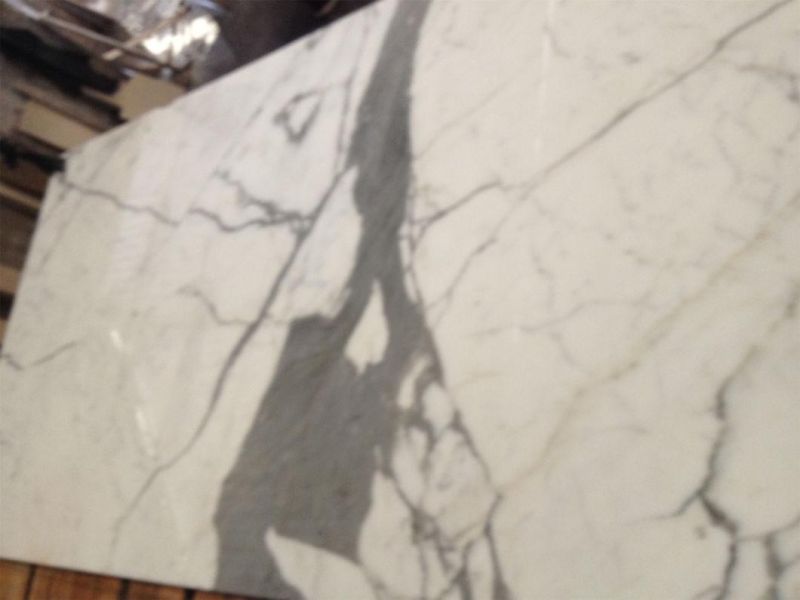 Calaeatta White Stone Marble for Flooring Tiles Slabs Countertops/Worktops/Vanitytops