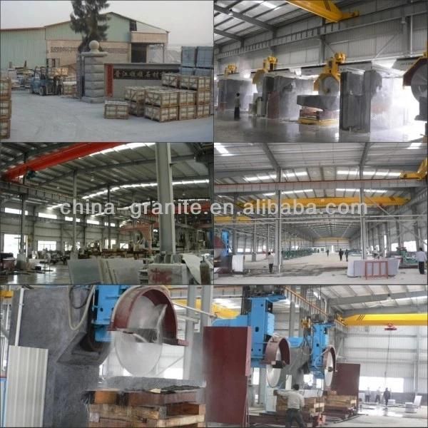 Best Flooring Choice Bulgarian Grey Marble Tile Cut to Size for Interior Tile