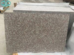 G687 Peach Red Granite Polished Step/Stair with Bevel Edge