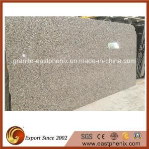 Imported Granite Slabs on Sale
