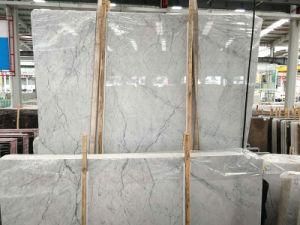 New Statuary Marble Polished Tiles&Slabs