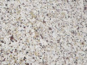 Quartz Slab for Kitchen Countertop and Floor Tiles