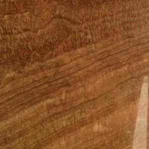 Gold Wooden Grain, Yellow Marble, Big Slab (M2)