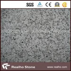 G439 Paulin White Granite Tile for Floor and Wall