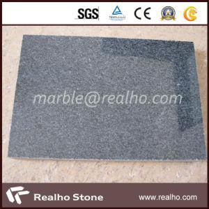 Cheap Polished Black/Sesame Grey/Padang Dark Granite G654 Floor Tile