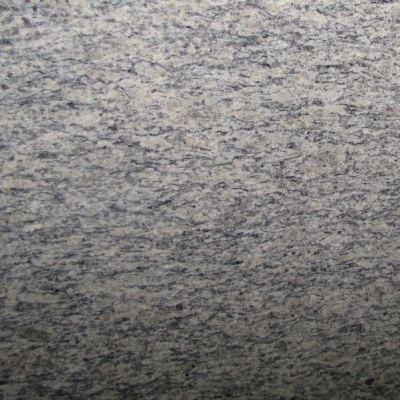 Viscont White Indian Black Granite European Style Ciallo Cecilia