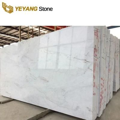 Polished White Marble with/Brown/Veins Natural Stone Slabs Floor/Tiles