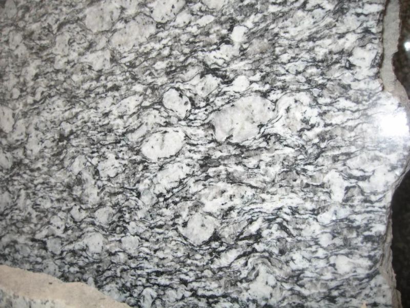 Seawave Flower Granite Chinese Natural Grey Granite Big Polished Slabs