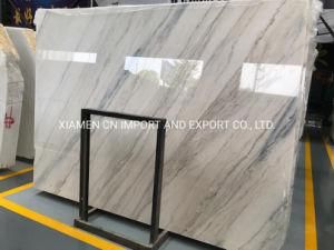 Atlantic Lava Grey/White/Black/Beige/Quartzite/Granite/Marble/Terrazzo/Mosaics Cut to Size for Wall/Floor Tiles