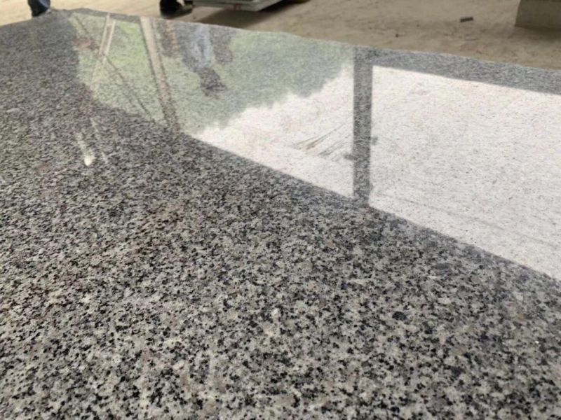 Berry Grey Polished Granite